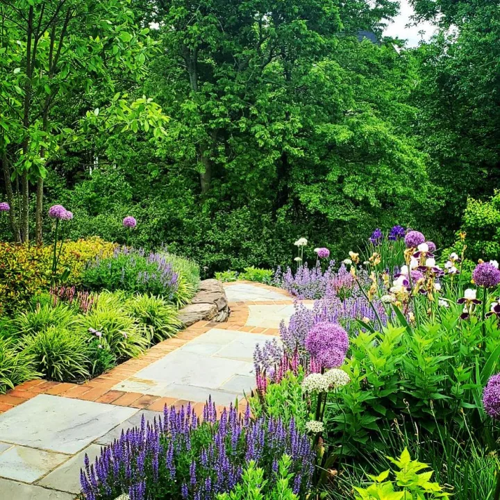 Hidden Lane Residential Landscapes ad: a curving bluestone path between deep perennial borders — 'Form. Function. Beauty.'