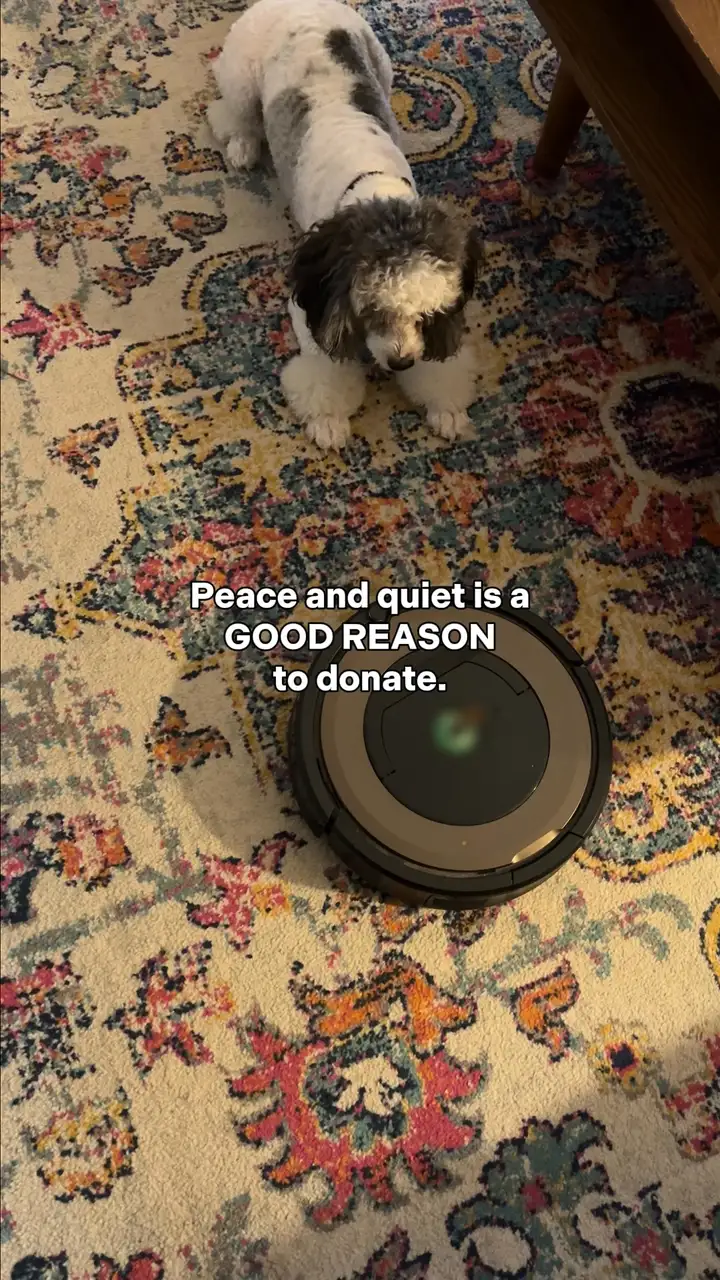 Still from a Salvation Army video: a small dog stares at a robot vacuum on a patterned rug, captioned "Peace and quiet is a GOOD REASON to donate."